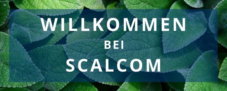 SCALCOM GmbH - Wir über uns
