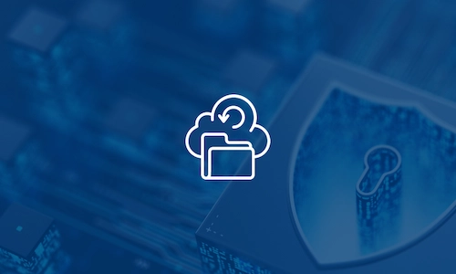 category_security