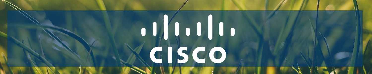 Cisco Systesms - Hersteller SCALCOM