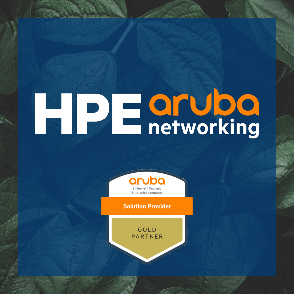 HPE Aruba Networking